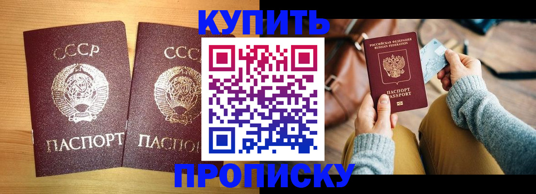 прописка 2025 в Камышлове